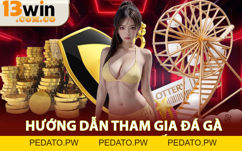 Đá Gà 13win - Đấu Trường Trực Tuyến Đỉnh Cao Cho Dân Chuyên