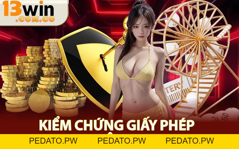 Giấy Phép Hoạt Động 13win - Giá Trị Pháp Lý Hoạt Động
