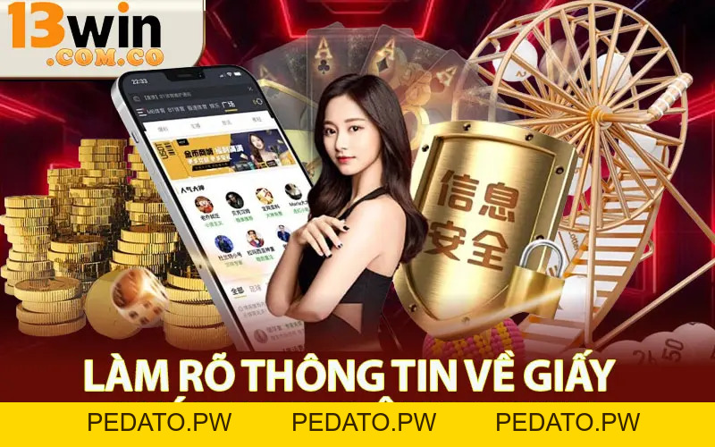 Giấy Phép Hoạt Động 13win - Giá Trị Pháp Lý Hoạt Động