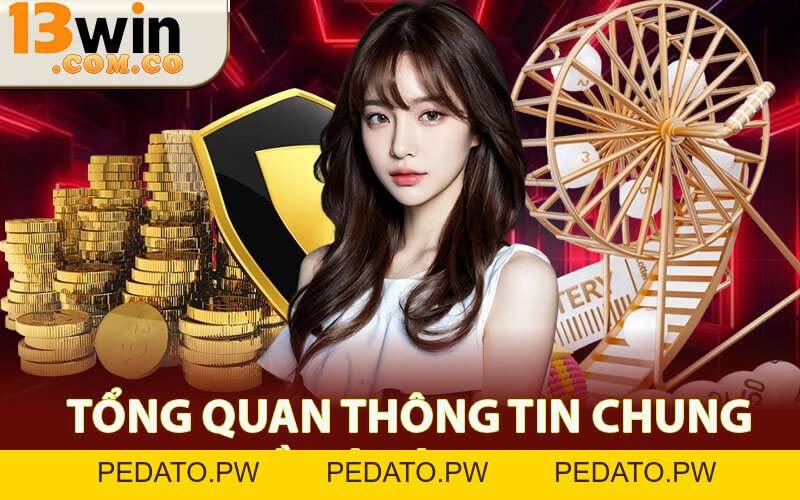 Đá Gà 13win - Đấu Trường Trực Tuyến Đỉnh Cao Cho Dân Chuyên