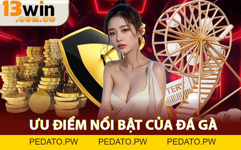 Đá Gà 13win - Đấu Trường Trực Tuyến Đỉnh Cao Cho Dân Chuyên