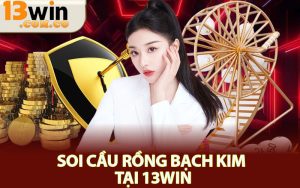 Tin Tức - 13win.com.co