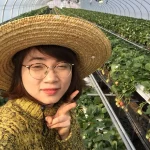 FABET - Trang Cá Độ Bóng Đá FABET.COM Số 1 VN 2026