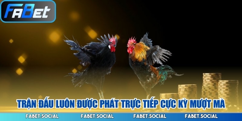 Đá Gà Cựa Dao FABET: Chơi Làm Sao Để Nhận Thưởng Lớn