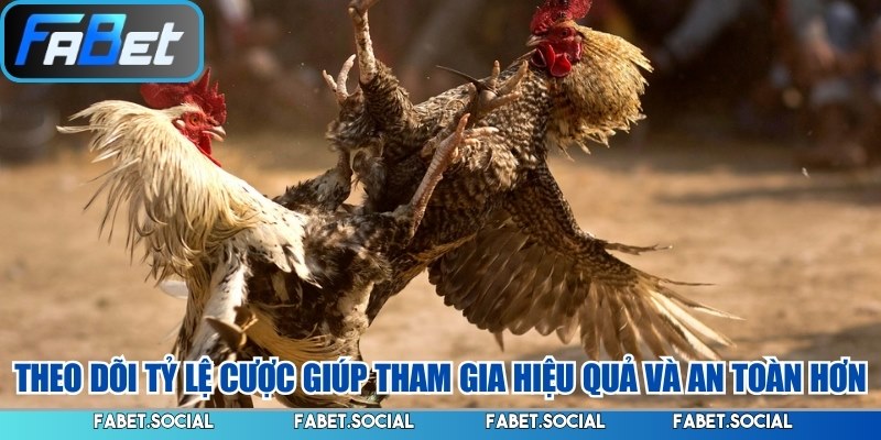 Đá Gà Cựa Dao FABET: Chơi Làm Sao Để Nhận Thưởng Lớn