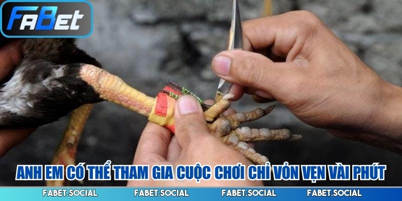 Đá Gà Cựa Dao FABET: Chơi Làm Sao Để Nhận Thưởng Lớn