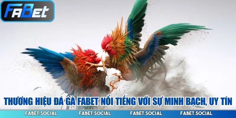 Đá Gà FABET: Đỉnh Cao Cá Cược Kê Chiến Trực Tuyến 2026t