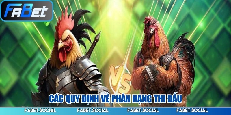 Luật Chơi Đá Gà - Những Quy Chuẩn Cơ Bản Cần Nắm Rõ