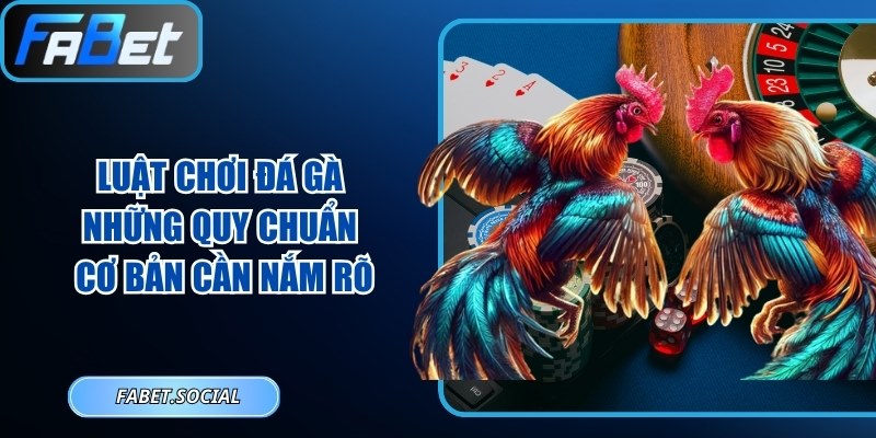 Luật Chơi Đá Gà - Những Quy Chuẩn Cơ Bản Cần Nắm Rõ